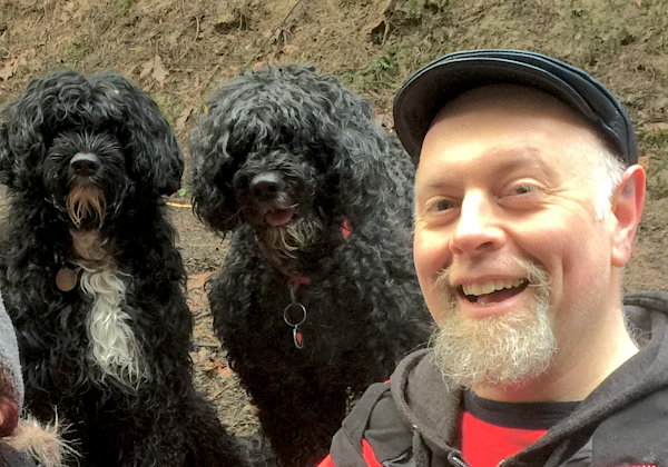 Cyrus and two Portuguese Water Dogs